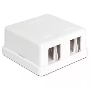 Juhtmepistik DeLOCK 86207 2x Keystone valge