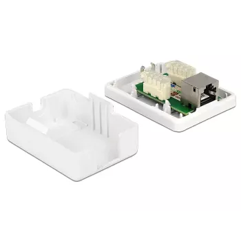 Pistikupesa RJ-45 DeLOCK 86169