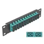 Fiiberoptiline patch-paneel DeLOCK 10 tolli 12 porti SC Duplex akvaamust 1U must