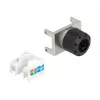 DeLOCK 87036 võtmemoodul RJ45 pesalt LSA-le