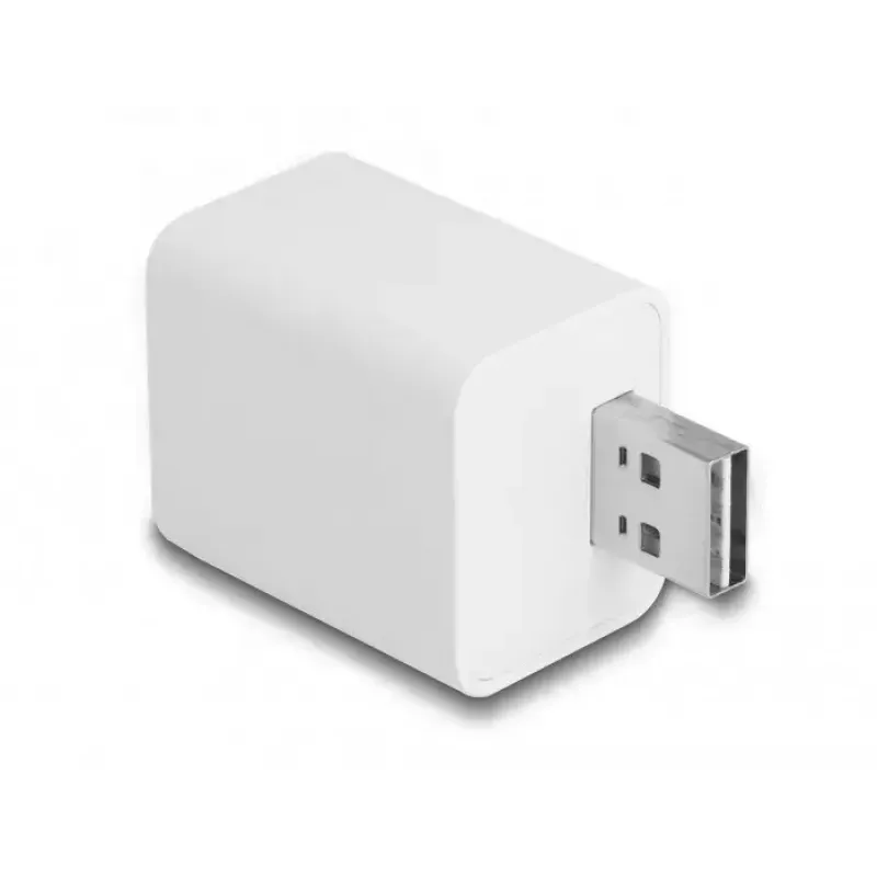 DeLOCK 11828 nutipistik, siseruumidesse, Wi-Fi, 2A, valge