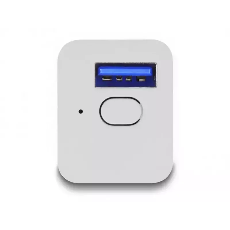 DeLOCK 11828 nutipistik, siseruumidesse, Wi-Fi, 2A, valge