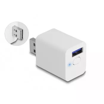 DeLOCK 11828 nutipistik, siseruumidesse, Wi-Fi, 2A, valge