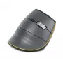 BakkerElkhuizen FastForward hiir, paremakäeline, vertikaalse disainiga, optiline, RF-juhtmevaba + Bluetooth + USB Type-C, 500 DPI, hall