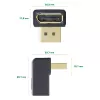 InLine DisplayPort adapter, DisplayPort isane / emane allasuunatud nurgaga
