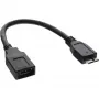 InLine Micro USB 3.0 OTG Adapteri kaabel, Micro B-pistik -> USB Type A-pesa, 0,15 m