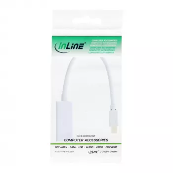 InLine Mini DisplayPort HDMI adapter heliga 4K/30Hz 17193E