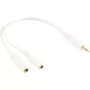 InLine Stereo Y-kaabel 3,5 mm stereopistik kahele 3,5 mm stereopesale valge/kuldne, 0,1 m