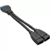 InLine USB 3.0 adapterkaabel sisemine 2x USB A-tüüpi emane / emaplaadi päis