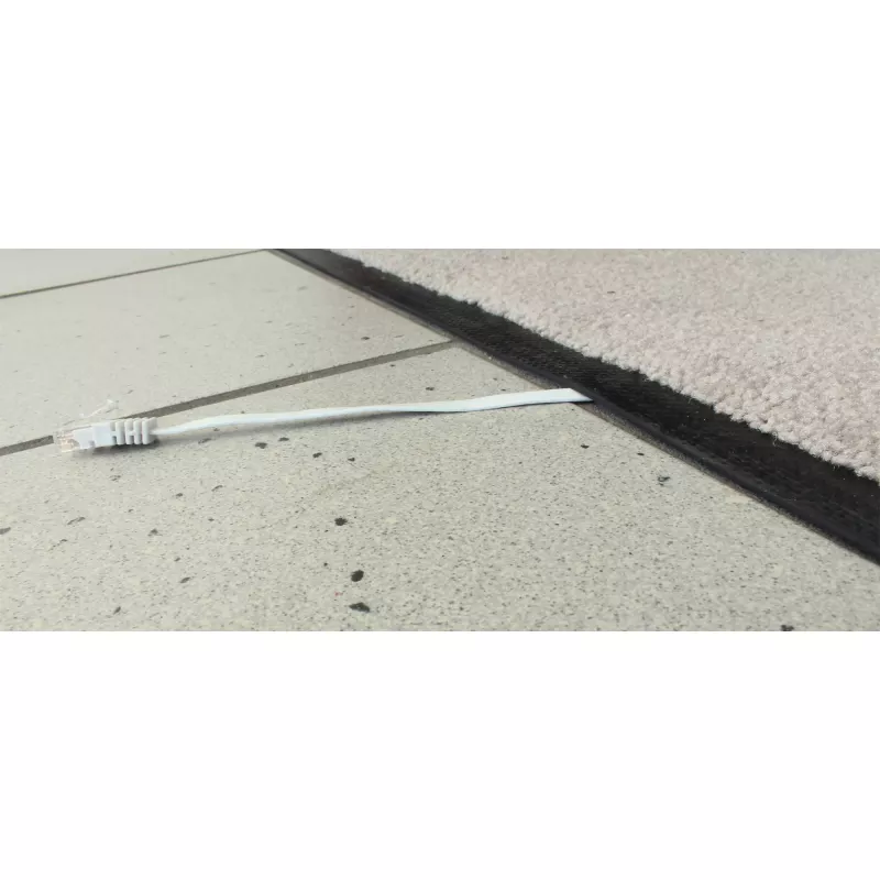 InLine lame üliõhuke ühenduskaabel U/UTP Cat.6 Gigabit ready hall 1m