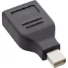 InLine DisplayPort-adapter, mini DisplayPort isane / DisplayPort emane, 4K/60Hz