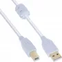 InLine USB 2.0 kaabel A-tüüpi isane / B-tüüpi isane, kullatud, ferriidiga, valge, 10 m