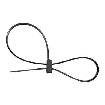 Kaablisidemed InLine kinnitatav kahepealine 300 mm x 4,8 mm, nailon, must, 100 tk