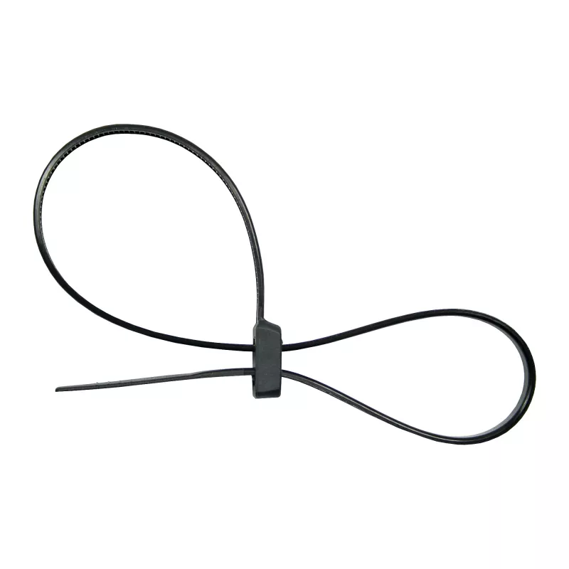 Kaablisidemed InLine kinnitatav kahepealine 300 mm x 4,8 mm, nailon, must, 100 tk