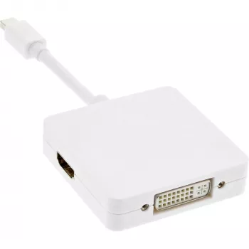 InLine Mini DisplayPort HDMI DVI DisplayPort adapterkaabel 17195I