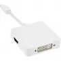 InLine Mini DisplayPort HDMI DVI DisplayPort adapterkaabel 17195I
