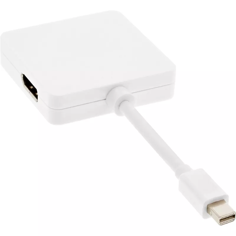 InLine Mini DisplayPort HDMI DVI DisplayPort adapterkaabel 17195I