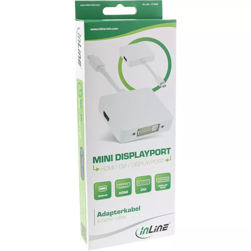 InLine Mini DisplayPort HDMI DVI DisplayPort adapterkaabel 17195I