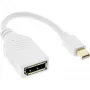 InLine Mini DisplayPort isane DisplayPort emasele kaabel, 4K2K, valge, 0,15 m