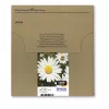 Kassett Epson T1806 Easy Mail Packaging must kollane tsüaan magenta