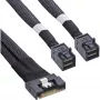 InLine õhuke SAS-kaabel, SFF-8654 8i kuni 2x SFF-8643, 1 m