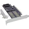 InLine 76660T liidesekaardid/adapterid Sisemine M.2, mSATA