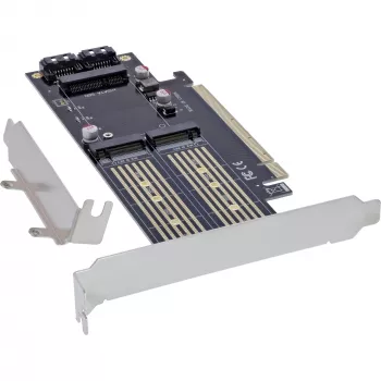 InLine 76660T liidesekaardid/adapterid Sisemine M.2, mSATA