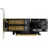 InLine 76660T liidesekaardid/adapterid Sisemine M.2, mSATA