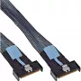 InLine 27661B Serial Attached SCSI (SAS) kaabel 0,75 m 24 Gbit/s must, sinine, hall