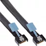 InLine 27662B Serial Attached SCSI (SAS) kaabel 0,75 m 24 Gbit/s Must, Sinine, Hall