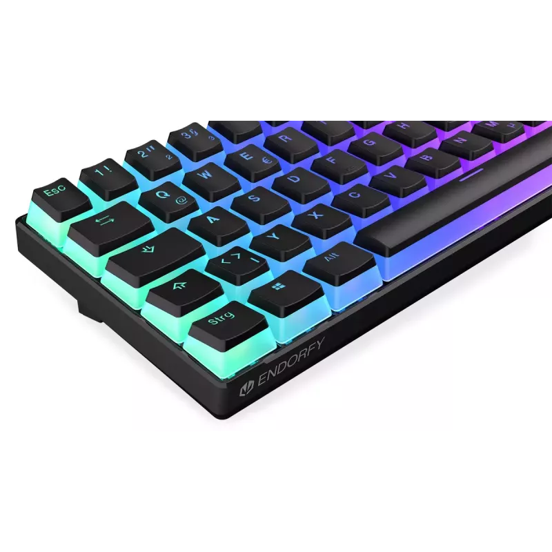 Mänguriklaviatuur ENDORFY Thock Compact RF Wireless USB QWERTZ 61 klahvi RGB LED