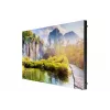 Monitor Samsung IE020A 20-tolline LCD 480 x 270 pikslit