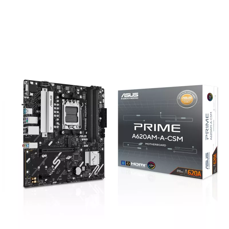 Emaplaat ASUS PRIME A620AM-A-CSM, A620, AM5, Micro ATX