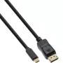 InLine USB-kuvakaabel, USB-C isane DisplayPort isasele, 2m