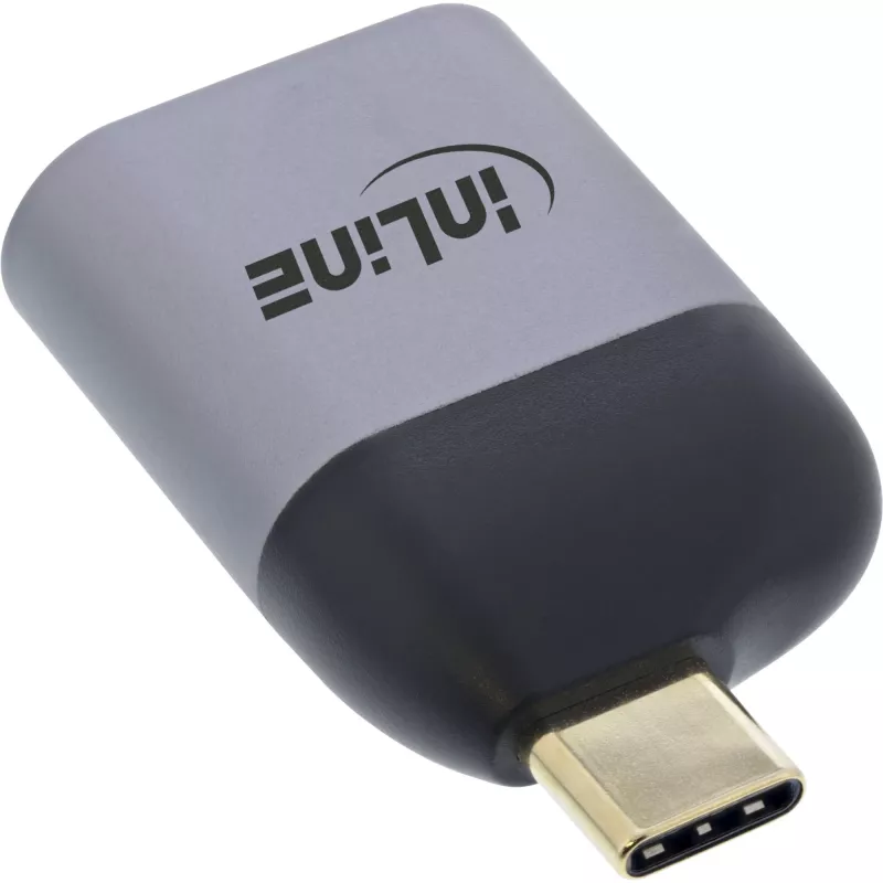 InLine USB Display Converter, USB-C isane HDMI emasele, 4K60Hz