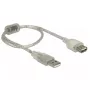 USB-kaabel DeLOCK 82244 USB 2.0 0.3 m läbipaistev