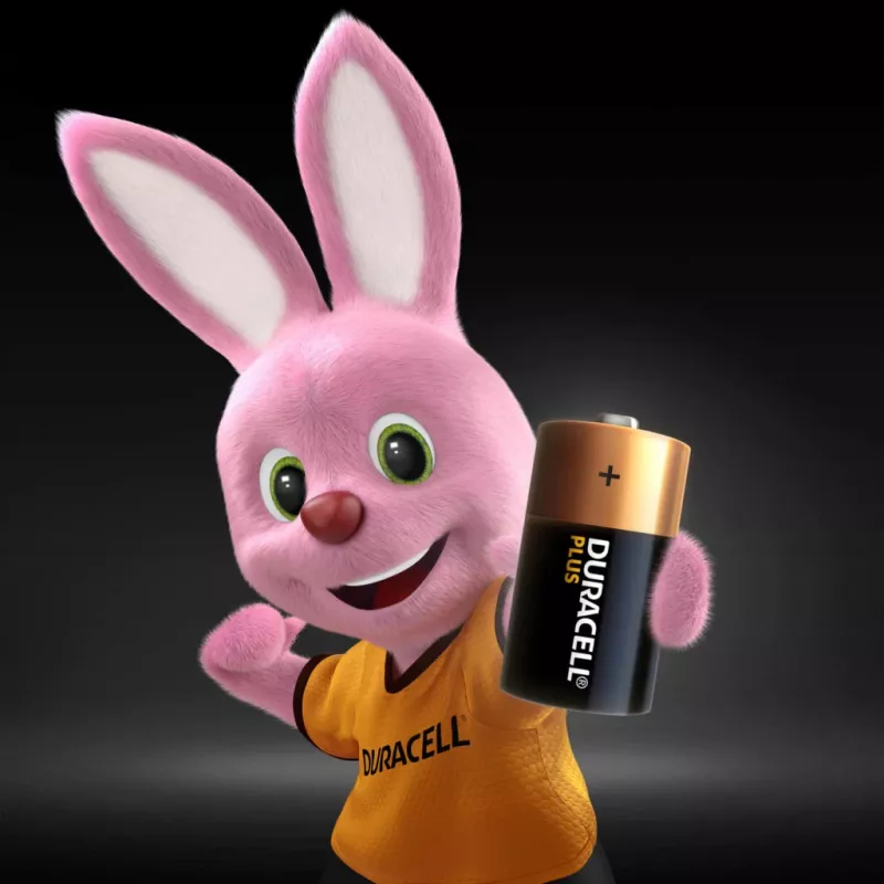 Duracell Plus ühekordne patarei C Aluseline