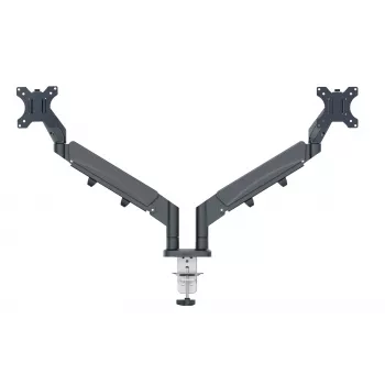 Leitz Ergo ruumisäästlik kahe monitori käsi, 9 kg, 43,2 cm (17 tolli), 81,3 cm (32 tolli), 75 x 100 mm, kõrguse reguleerimine, hall