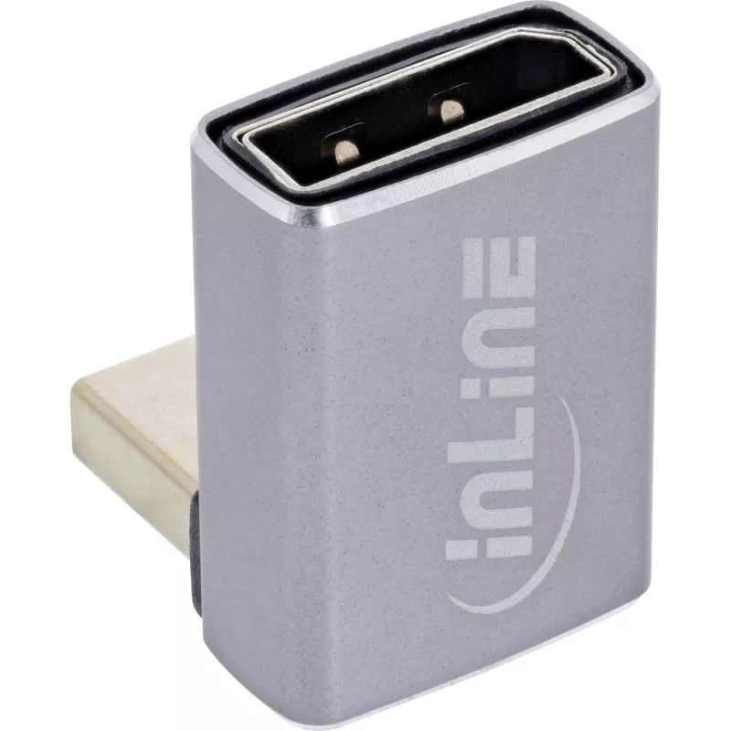 InLine 17291F kaablisoo-muundur DisplayPort Mini DisplayPort Hall Must