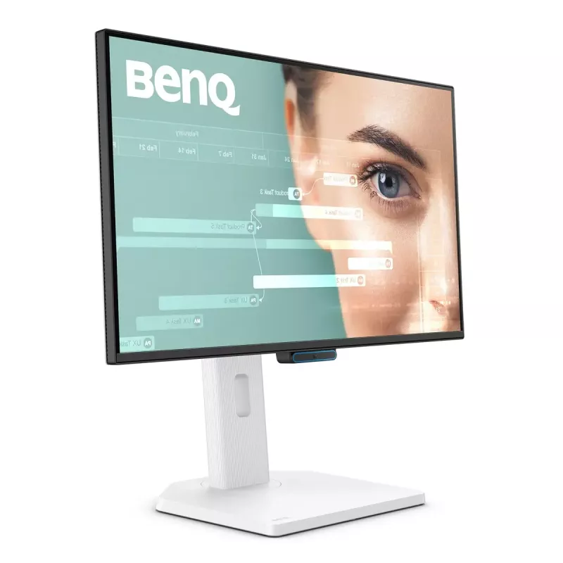 Arvutimonitor BenQ GW2490TC 24 tolli (61 cm) IPS Full HD 1920x1080 LED, 5 ms, 178° vaatenurk, sisseehitatud kõlarid, VESA, must/valge