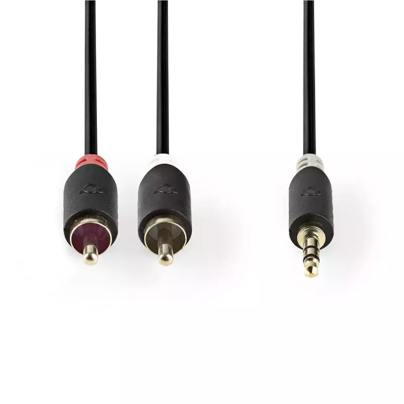 Audiokaabel Nedis CABW22200AT10 1m 3,5mm 2xRCA Antratsiit