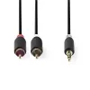 Audio kaabel Nedis CABW22200AT20 2m 3.5mm 2 x RCA Antratsiit