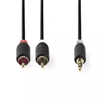 Audio kaabel Nedis CABW22200AT20 2m 3.5mm 2 x RCA Antratsiit