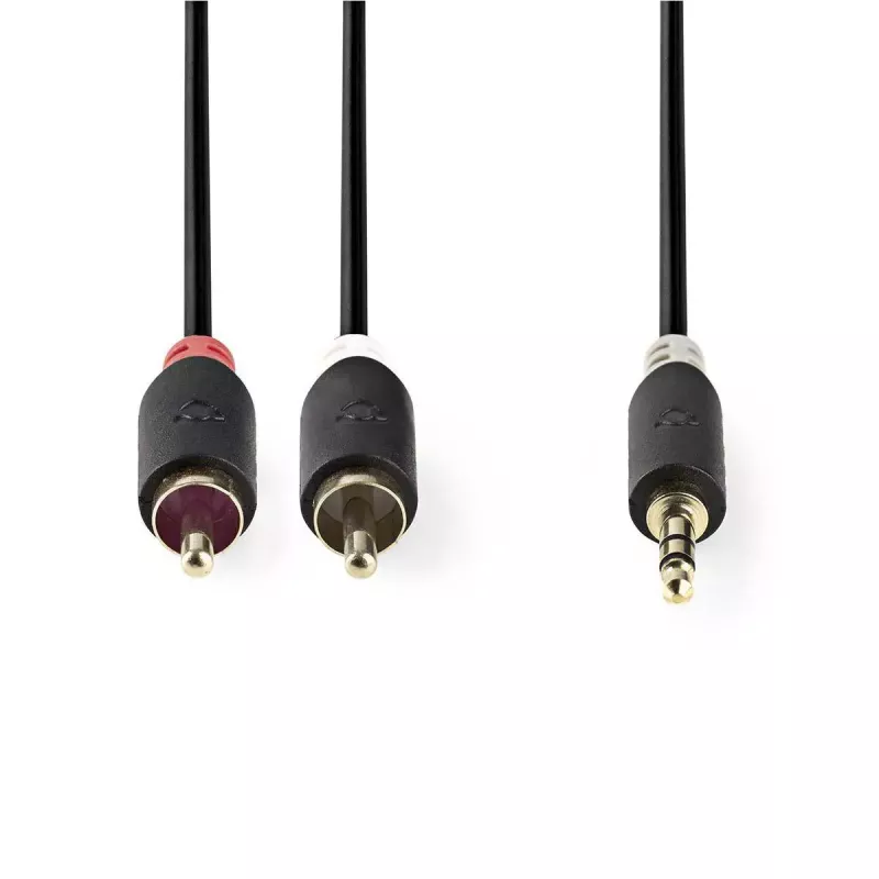 Audio kaabel Nedis CABW22200AT20 2m 3.5mm 2 x RCA Antratsiit