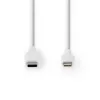 Lightning-kaabel Nedis CCGW39650WT10 1m Valge USB C