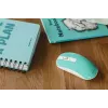 hiir Canyon CNS-CMSW18A RF Wireless Optical