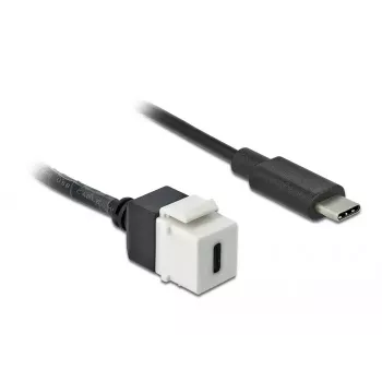 Keystone'i moodul DeLOCK 86399 lame must valge USB C
