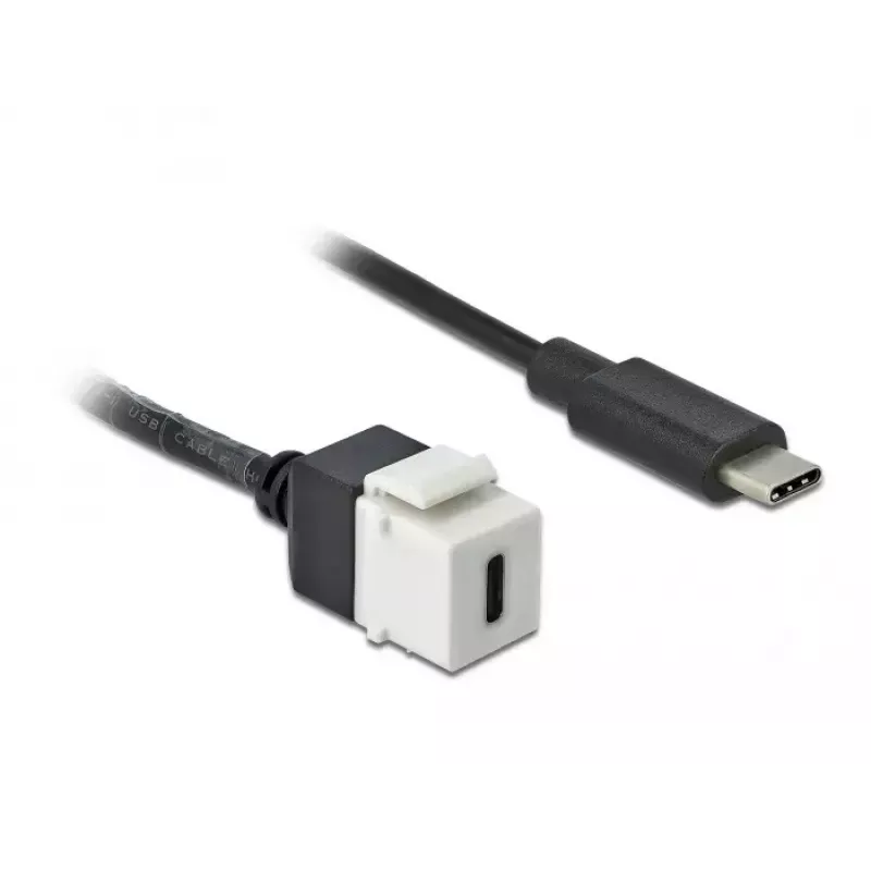 Keystone'i moodul DeLOCK 86399 lame must valge USB C