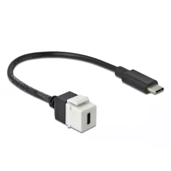 Keystone'i moodul DeLOCK 86399 lame must valge USB C