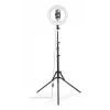 Valgustusrõngas Hama SpotLight Steady 120 III 160 LED 1020 lm 3000 K